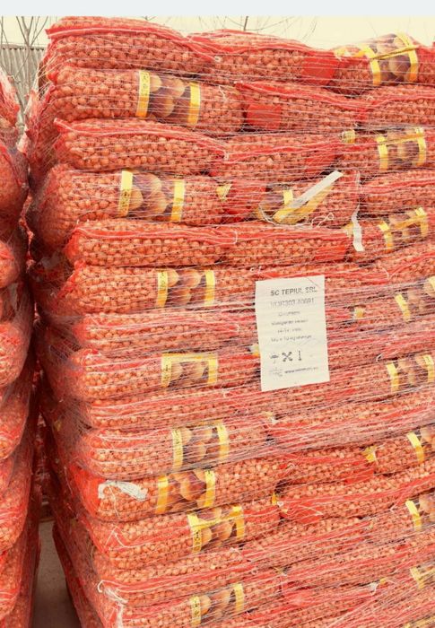 Vand usturoi de pus în pământ și arpagic