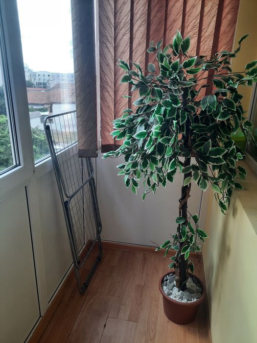 Închiriez apartament cu 3 camere Lugoj