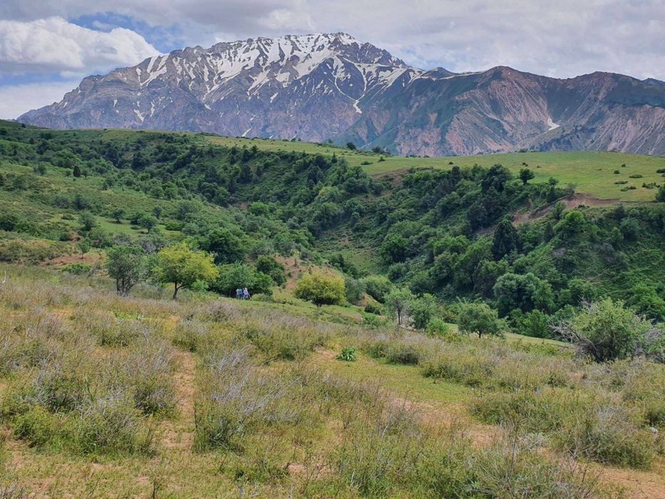 СРОЧНО! Продаётся уникальный земельный участок в горах Чимгана!