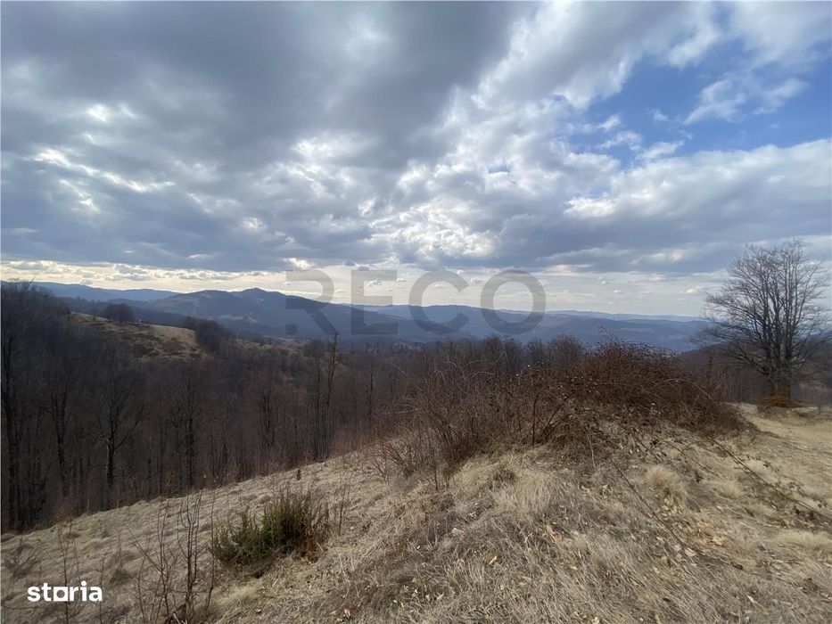 RECO Teren forestier, in EXCLUSIVITATE, sat Munteni