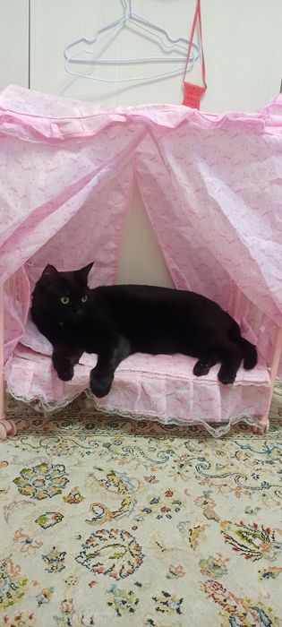 Чемодан детский дорожный