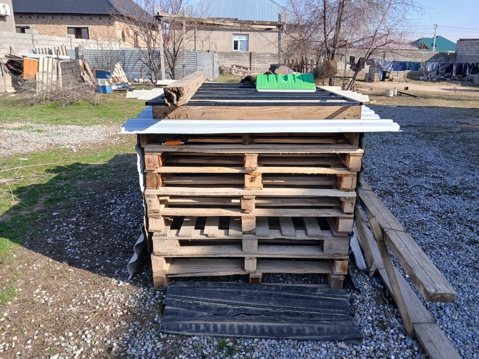 Поддонилдьмпрооорр