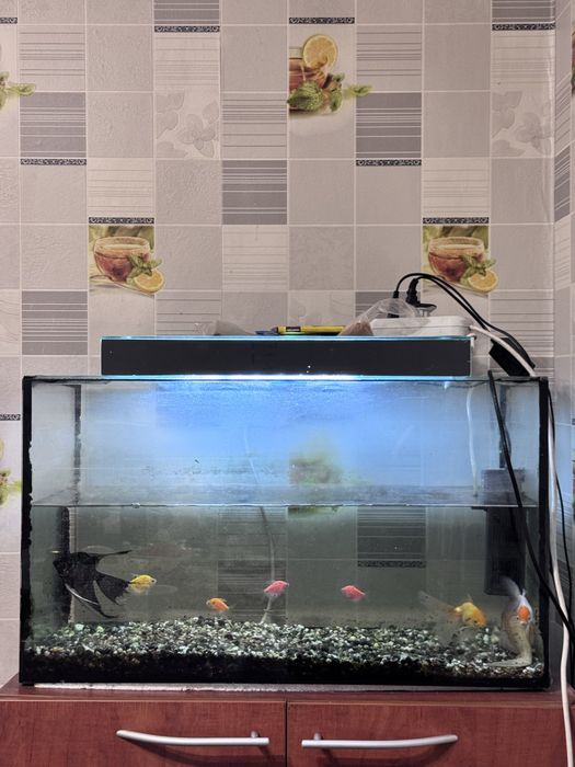 Продам Аквариум с рыбками