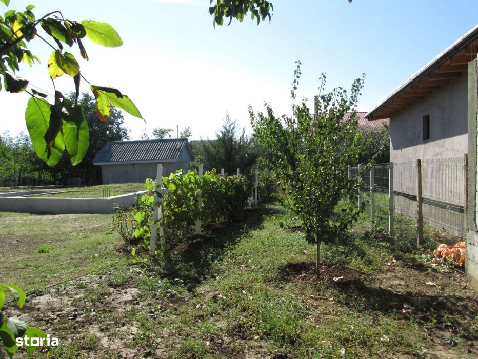 Vand Teren Intravilan 795mp Valu lui Traian + utilitati zona linistita