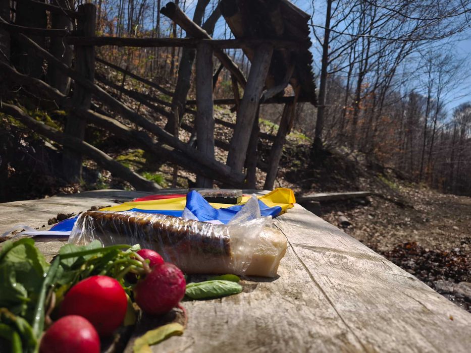 Cabană la munte Transalpina ciubăr retrasă fara vecini
