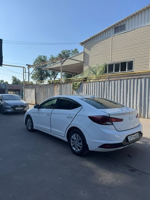Сдается в аренду Hyundai Elantra