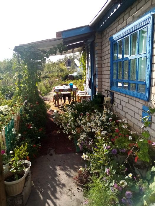 Дача в общещстве Ромашка