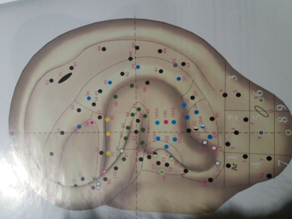 Гирудотерапия (Пиявки лечат ВСЕ )