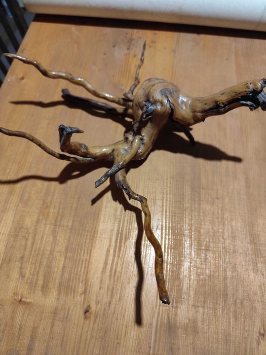 Корен за декорация за дома,градината