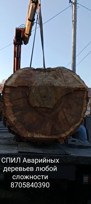 СПИЛ аварийных деревьев
