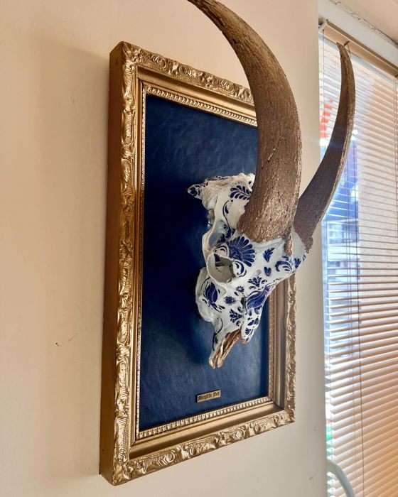 “Порцелановият” череп със старинна рамка и клалско синя кожа