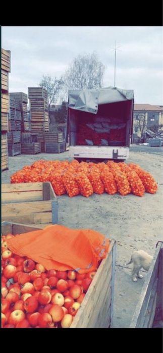 Vand mere industrie si consum ASIGUR TRANSPORT!