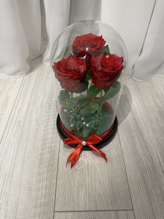 Cupola cu 3 trandafiri criogenati