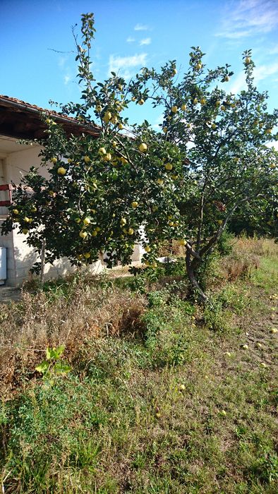 Продава се Къща в с. Ивански, Област Шумен - 120 кв.м за 591 €/кв.м - Снимка #22