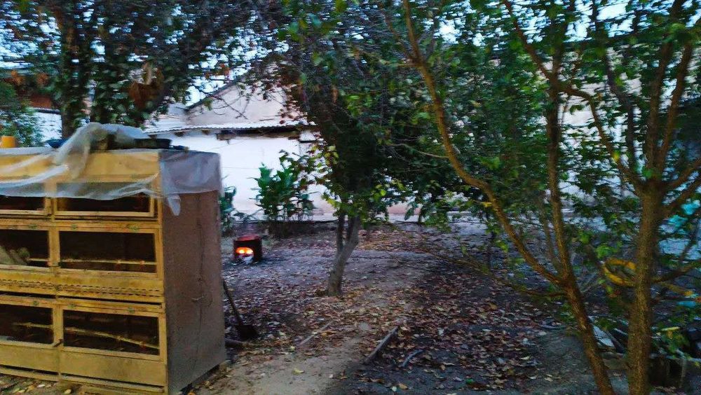 Қарши шахар Механизатор махалласида 7хонали уй сотилади