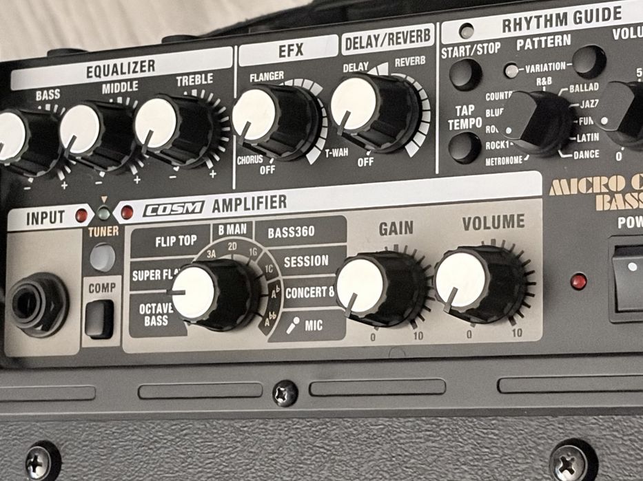 Bass combo amp Roland MicroCube RX