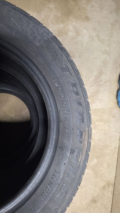 Triangle letni shina