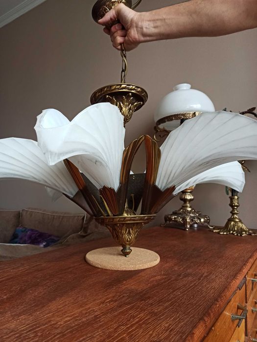 Полилей Арт Деко, 6-ца