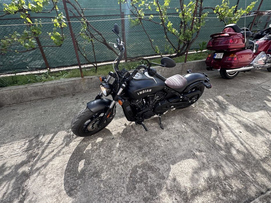 Indian scoot bober