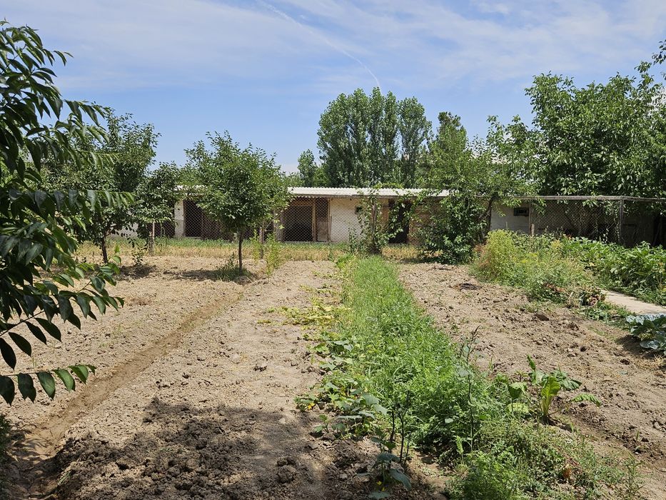 Продам свою дачу(24сотки) со всеми удобствами и постройками