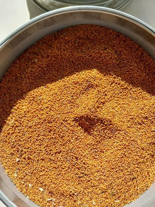 Лён.Платный чат!Все корма.