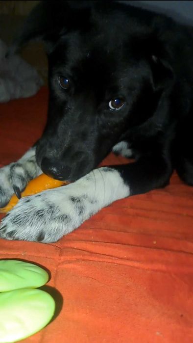 ДОМ за Миа София