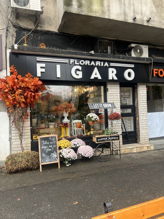 Vanzare/preluare afacere