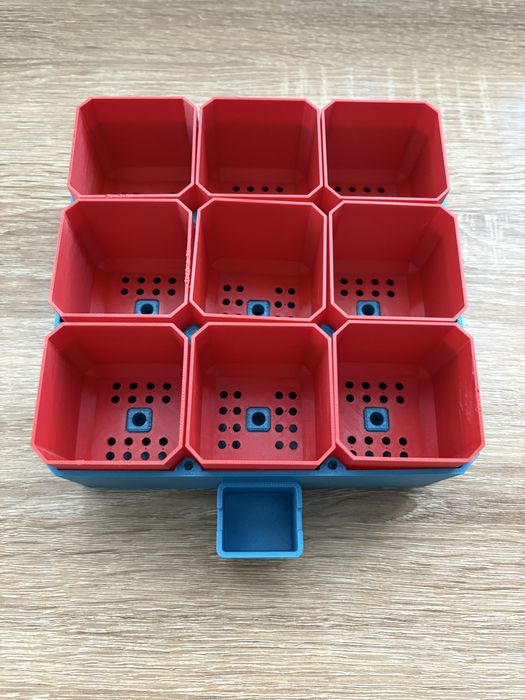 Саксии за разсад и Вана