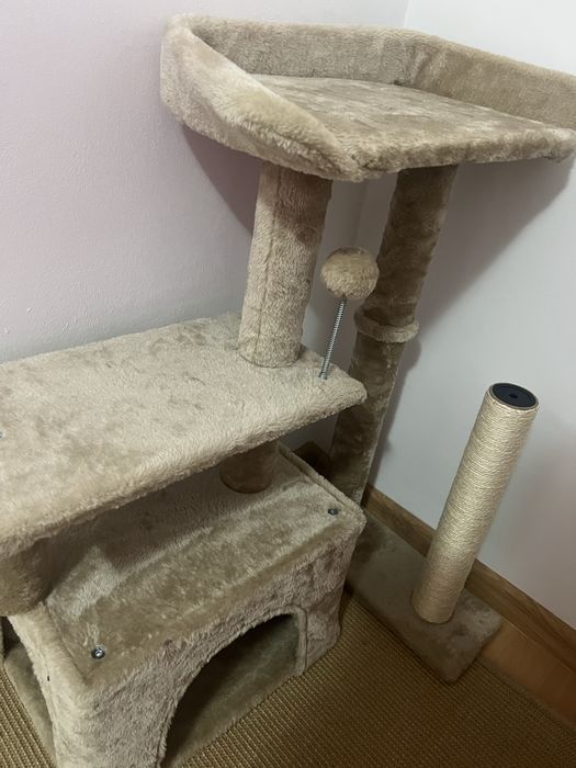Amsamblu pisici 3 nivele