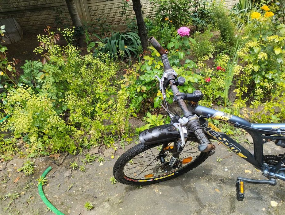 Biciclete ,trotinete ,drujba