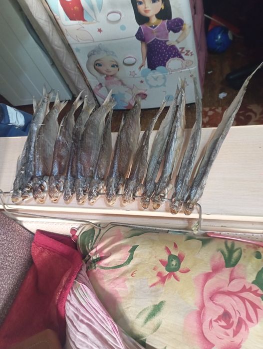 Продам рыбу рыбец сушеные малосольные и чехня