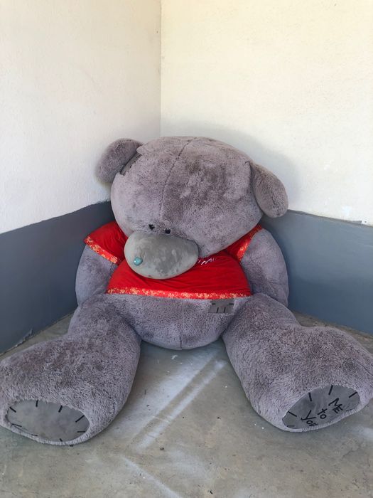 Медведь в продаже