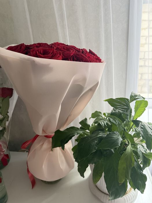 Продам 25 шт розы