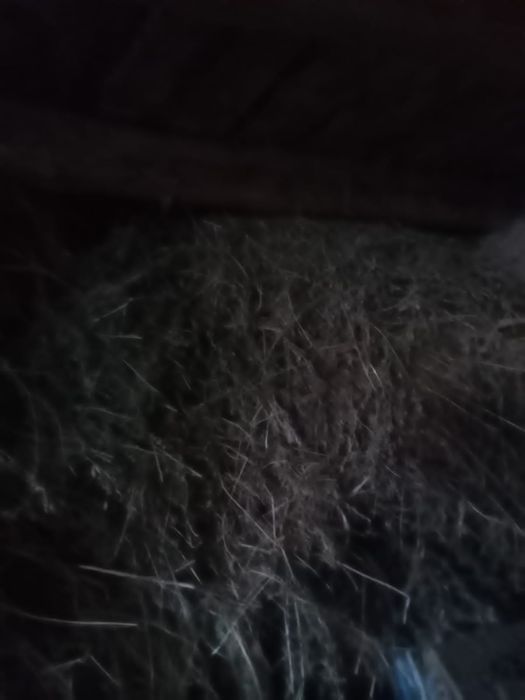 Жонышка сатылады биылгы орым