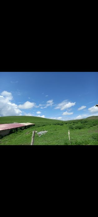 Фазенда сатылады