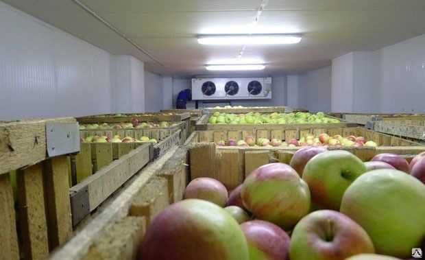 Холодилник 600 тонналик. Янги. Хитой. Нархи 1 млрд 500 млн сум.