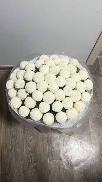 Рафаэлки 51шт.
