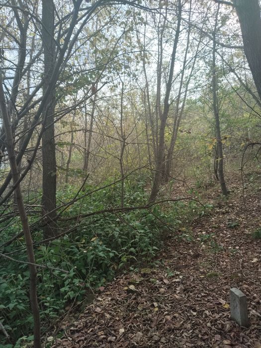 Участок на 42 км