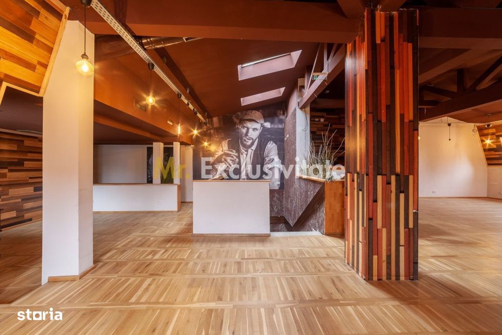 Spatiu comercial premium in vila – Bd. Republicii, Pitesti