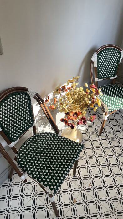 Стулья стильные уличные 2 шт