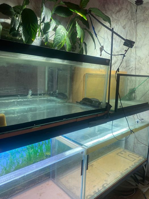 Аквариум от 80л до 250л