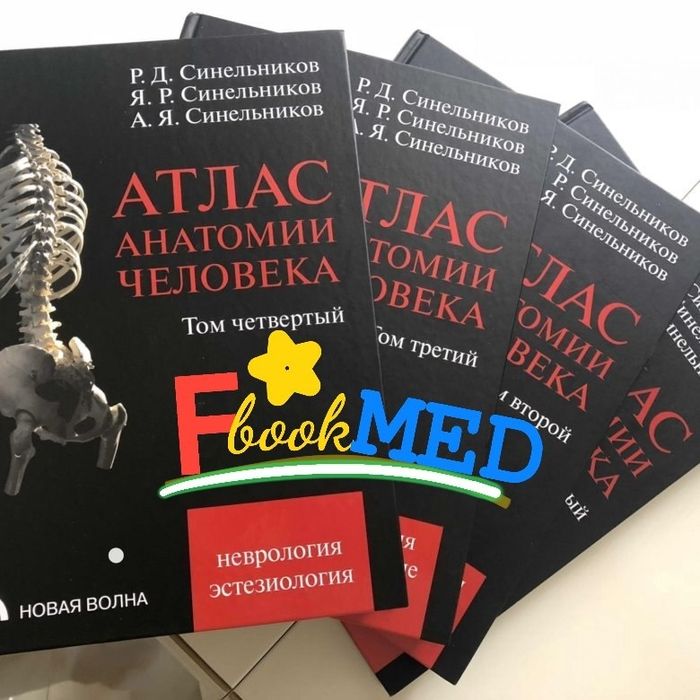 Netter Anatomy coloring book 2nd edition