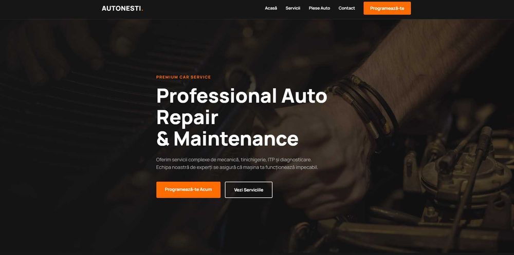 400 ron Fac Website / Landing Page + Logo + Postări