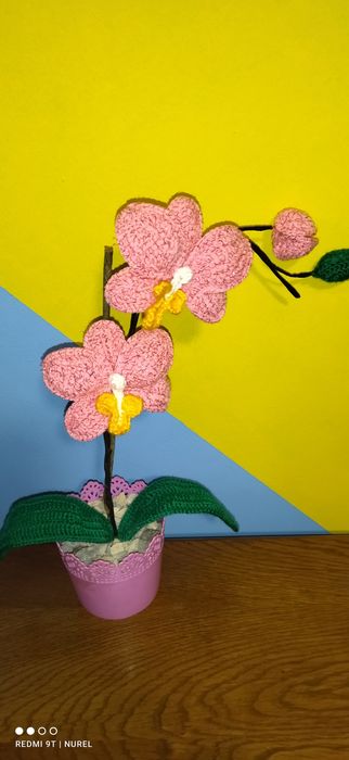 Ръчно плетена орхидея (Вечна)