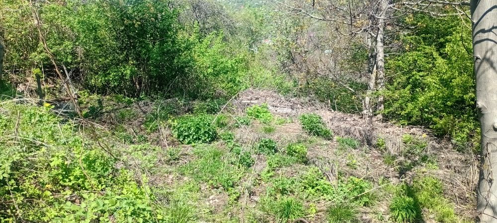 Продам участок в городе