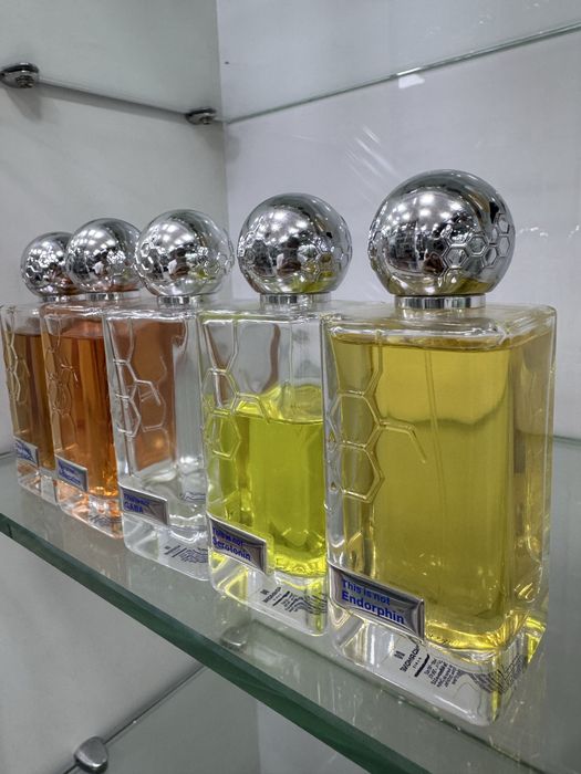 Hormone Paris Gaba