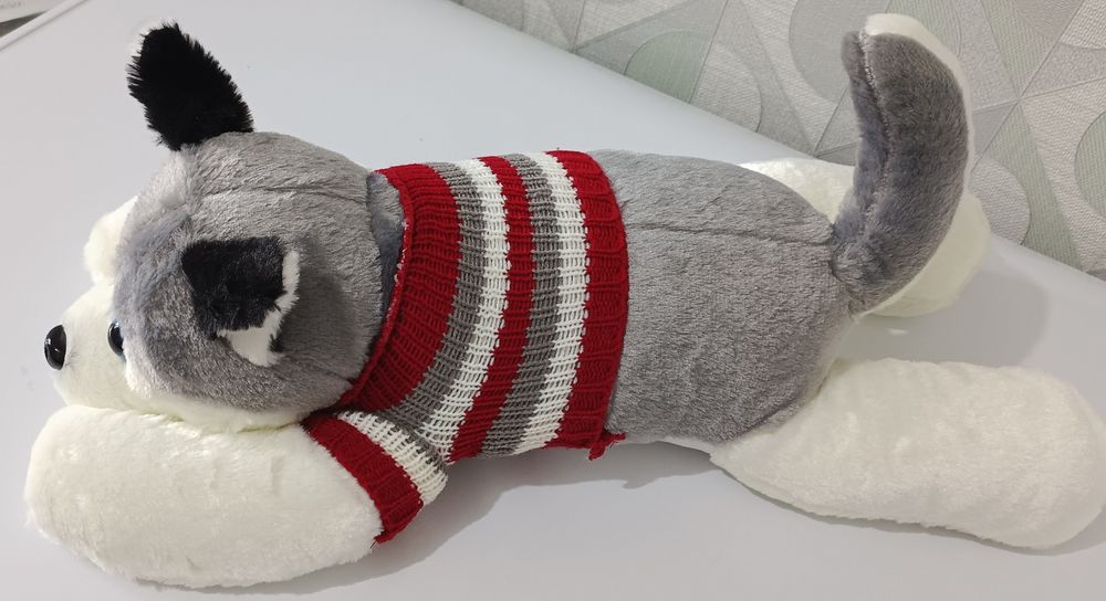 Милый хаски в кофточке