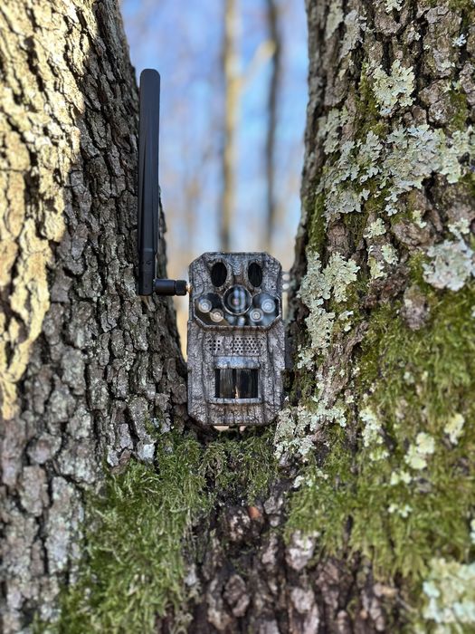 Camera Vanatoare ForestVision Live Pro 2 Cu GPS 4G 32MP 4K