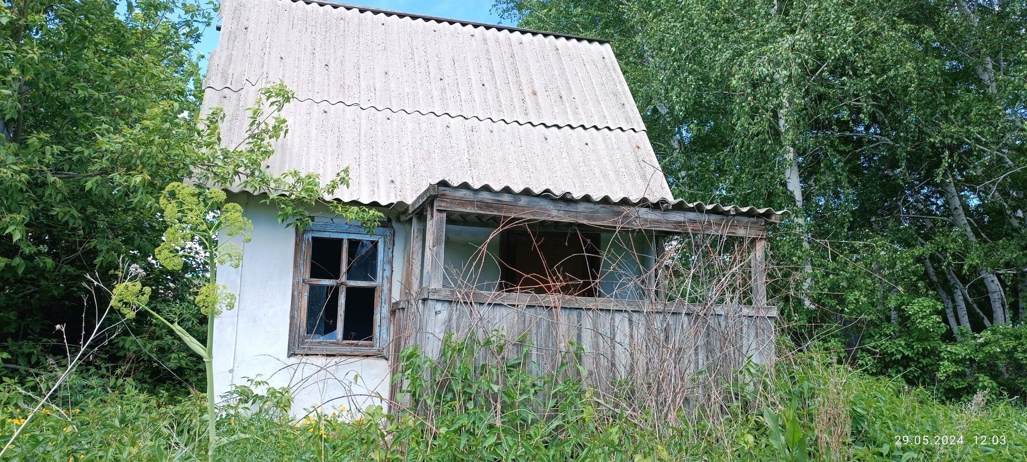 дачи в - Недвижимость в Шемонаиха - OLX.kz