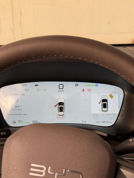 BYD Champion Smart Drive